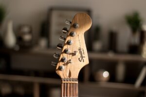 Funktionsweise der E-Gitarre: Aufbau und Technik verständlich erklärt auf e-gitarre-kaufen365.de